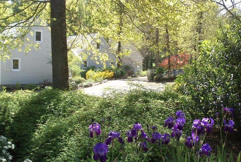 Les Chalets De Saumur, Piscine & Parc Boise, 100M Du Cadrenoir Eksteriør billede