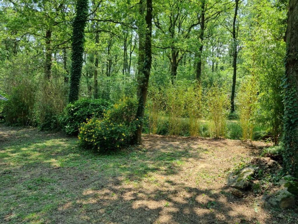 Les Chalets De Saumur, Piscine & Parc Boise, 100M Du Cadrenoir Eksteriør billede