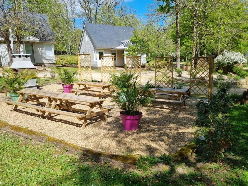 Les Chalets De Saumur, Piscine & Parc Boise, 100M Du Cadrenoir Eksteriør billede