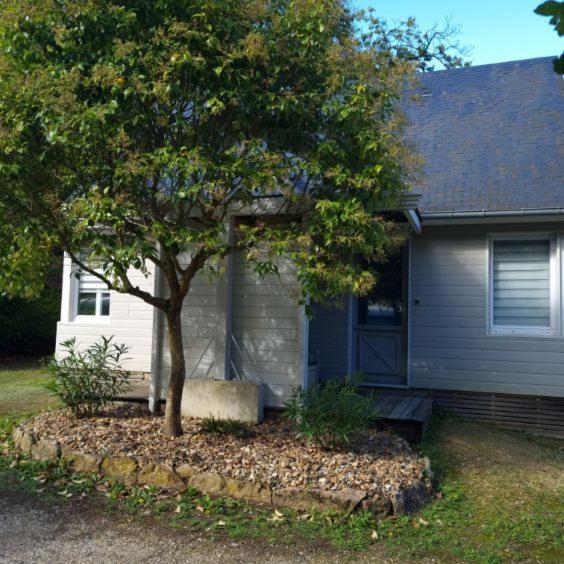 Les Chalets De Saumur, Piscine & Parc Boise, 100M Du Cadrenoir Eksteriør billede